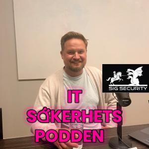 Ludwig Östlund på bild i en diskussion i samarbete med Sig Security.