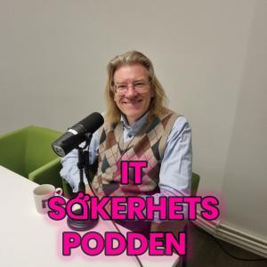 AI är ett ämne som Anders Sandberg från Institutet för Framtidsforskning vet mycket om. Han är här på bild framför mikrofonen.